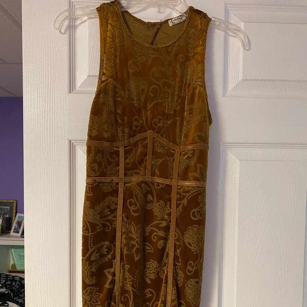 Free people velvet dress